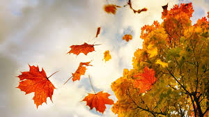 Ashria Enchanted - Fall